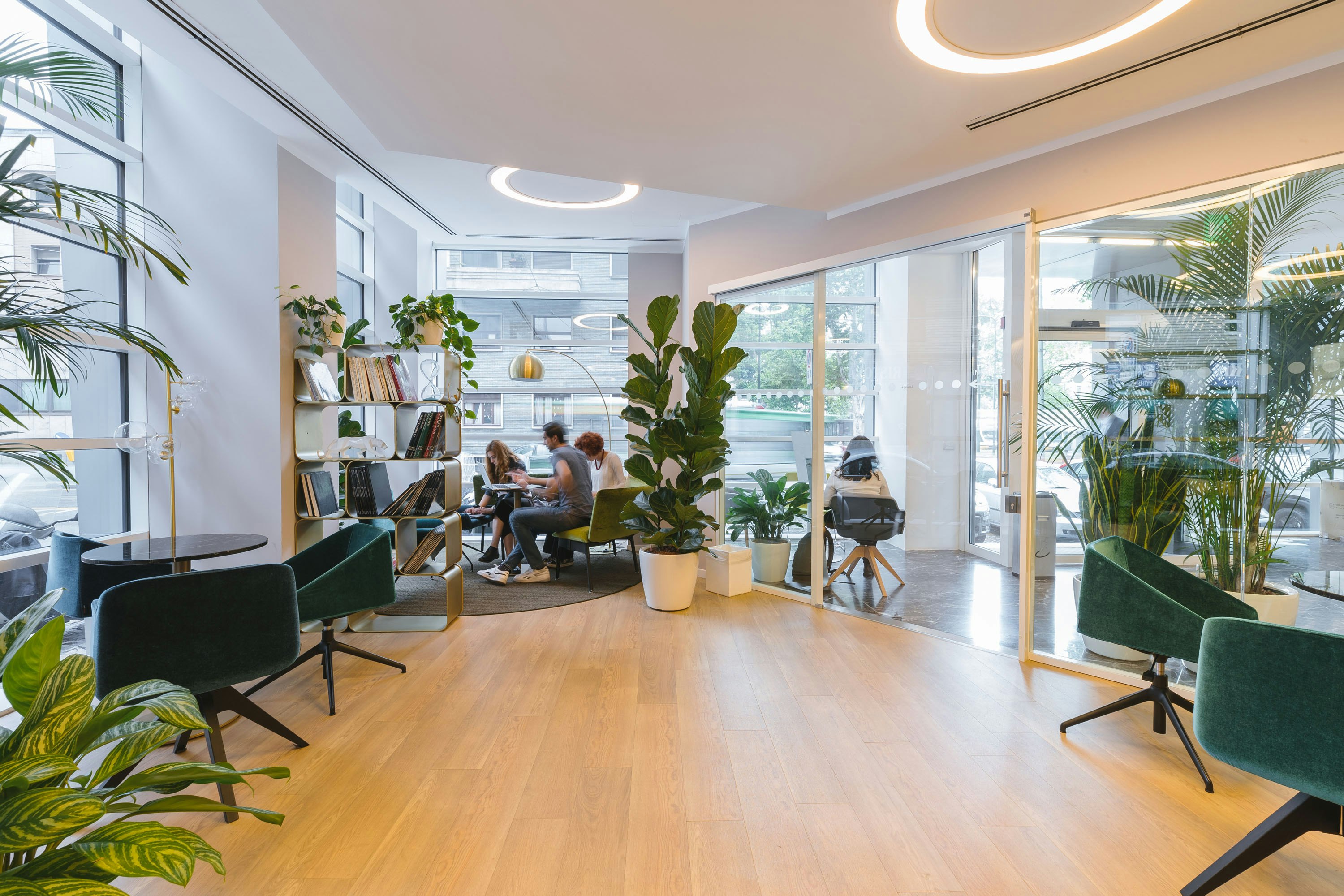 Member Halifax startup